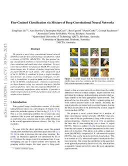 Fine-Grained Classification via Mixture of Deep Convolutional Neural
  Networks