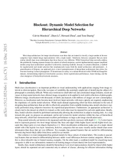 Blockout: Dynamic Model Selection for Hierarchical Deep Networks