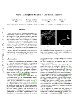 Active Learning for Delineation of Curvilinear Structures
