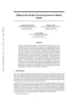 Filling in the details: Perceiving from low fidelity images