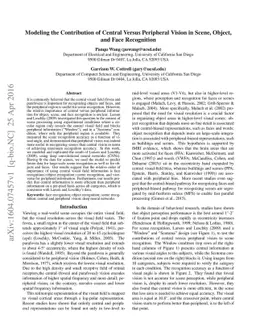 Modeling the Contribution of Central Versus Peripheral Vision in Scene,
  Object, and Face Recognition