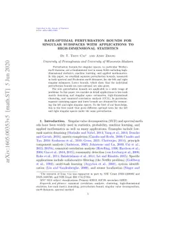 Rate-Optimal Perturbation Bounds for Singular Subspaces with
  Applications to High-Dimensional Statistics
