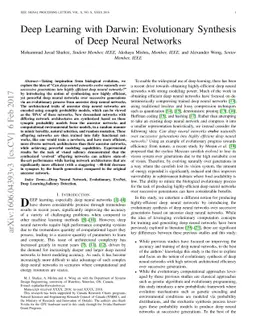 Deep Learning with Darwin: Evolutionary Synthesis of Deep Neural
  Networks