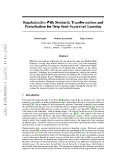 Regularization With Stochastic Transformations and Perturbations for
  Deep Semi-Supervised Learning