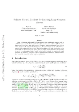 Relative Natural Gradient for Learning Large Complex Models