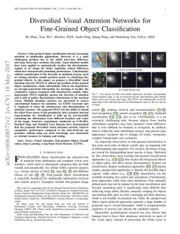 Diversified Visual Attention Networks for Fine-Grained Object
  Classification
