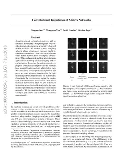 Convolutional Imputation of Matrix Networks