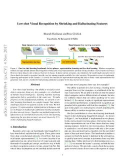 Low-shot Visual Recognition by Shrinking and Hallucinating Features