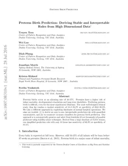 Preterm Birth Prediction: Deriving Stable and Interpretable Rules from
  High Dimensional Data