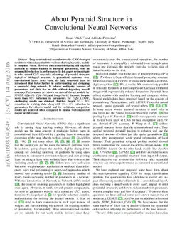 About Pyramid Structure in Convolutional Neural Networks