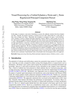 Visual Processing by a Unified Schatten-$p$ Norm and $\ell_q$ Norm
  Regularized Principal Component Pursuit
