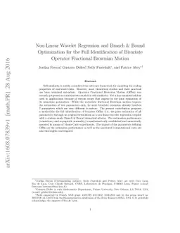Non-Linear Wavelet Regression and Branch & Bound Optimization for the
  Full Identification of Bivariate Operator Fractional Brownian Motion