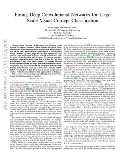 Fusing Deep Convolutional Networks for Large Scale Visual Concept
  Classification