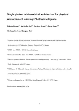 Single photon in hierarchical architecture for physical reinforcement
  learning: Photon intelligence