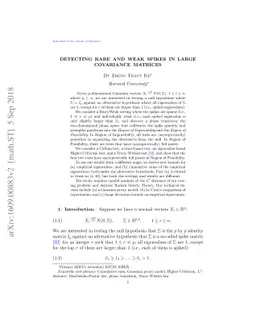 Detecting Rare and Weak Spikes in Large Covariance Matrices