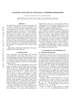 Automatic Selection of Stochastic Watershed Hierarchies