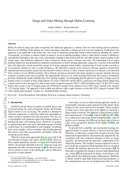 Image and Video Mining through Online Learning