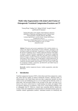 Multi-Atlas Segmentation with Joint Label Fusion of Osteoporotic
  Vertebral Compression Fractures on CT