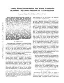 Learning Binary Features Online from Motion Dynamics for Incremental
  Loop-Closure Detection and Place Recognition