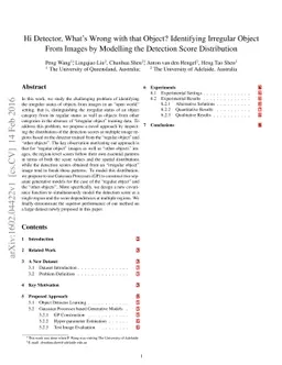 Hi Detector, What's Wrong with that Object? Identifying Irregular Object
  From Images by Modelling the Detection Score Distribution