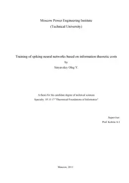 Training of spiking neural networks based on information theoretic costs