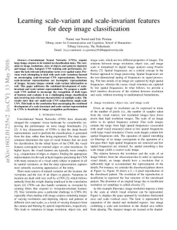Learning scale-variant and scale-invariant features for deep image
  classification