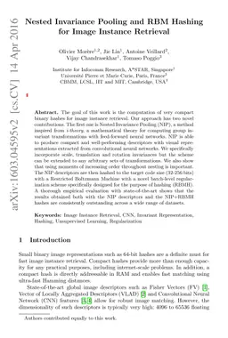 Nested Invariance Pooling and RBM Hashing for Image Instance Retrieval