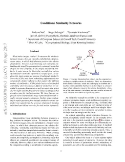 Conditional Similarity Networks