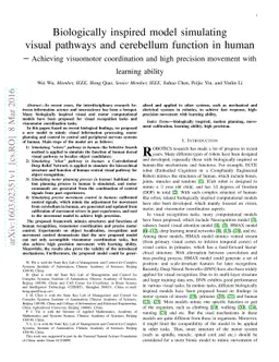 Biologically inspired model simulating visual pathways and cerebellum
  function in human - Achieving visuomotor coordination and high precision
  movement with learning ability