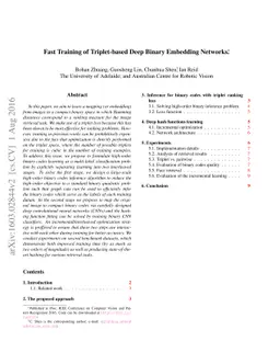 Fast Training of Triplet-based Deep Binary Embedding Networks