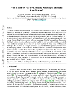 What is the Best Way for Extracting Meaningful Attributes from Pictures?