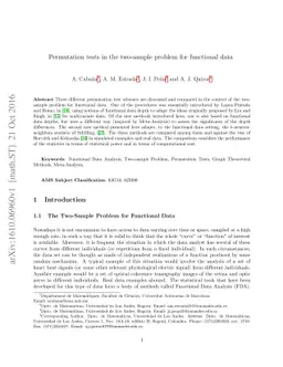 Permutation tests in the two-sample problem for functional data