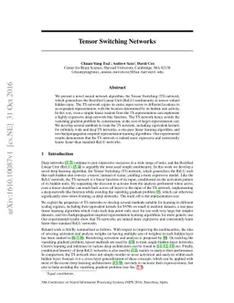 Tensor Switching Networks