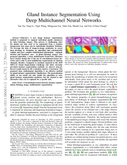 Gland Instance Segmentation Using Deep Multichannel Neural Networks