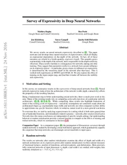 Survey of Expressivity in Deep Neural Networks