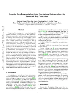 Learning Deep Representations Using Convolutional Auto-encoders with
  Symmetric Skip Connections