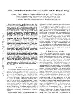 Deep Convolutional Neural Network Features and the Original Image