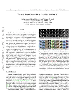 Towards Robust Deep Neural Networks with BANG