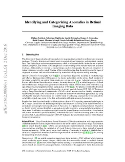 Identifying and Categorizing Anomalies in Retinal Imaging Data