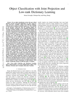 Object Classification with Joint Projection and Low-rank Dictionary
  Learning