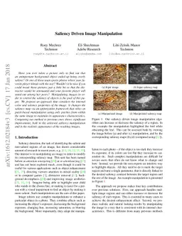 Saliency Driven Image Manipulation