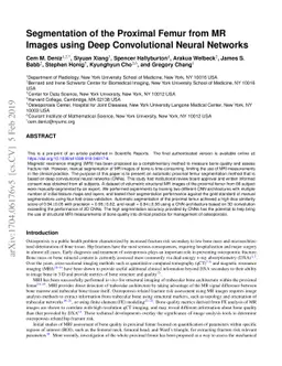 Segmentation of the Proximal Femur from MR Images using Deep
  Convolutional Neural Networks