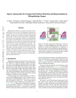 Sparse Autoencoder for Unsupervised Nucleus Detection and Representation
  in Histopathology Images