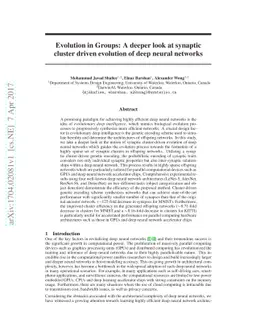 Evolution in Groups: A deeper look at synaptic cluster driven evolution
  of deep neural networks