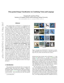 Fine-graind Image Classification via Combining Vision and Language
