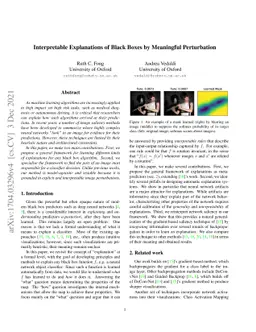Interpretable Explanations of Black Boxes by Meaningful Perturbation