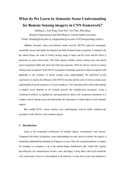 What do We Learn by Semantic Scene Understanding for Remote Sensing
  imagery in CNN framework?