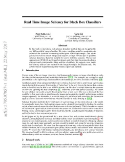 Real Time Image Saliency for Black Box Classifiers