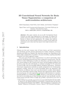 3D Convolutional Neural Networks for Brain Tumor Segmentation: A
  Comparison of Multi-resolution Architectures