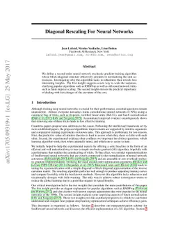 Diagonal Rescaling For Neural Networks